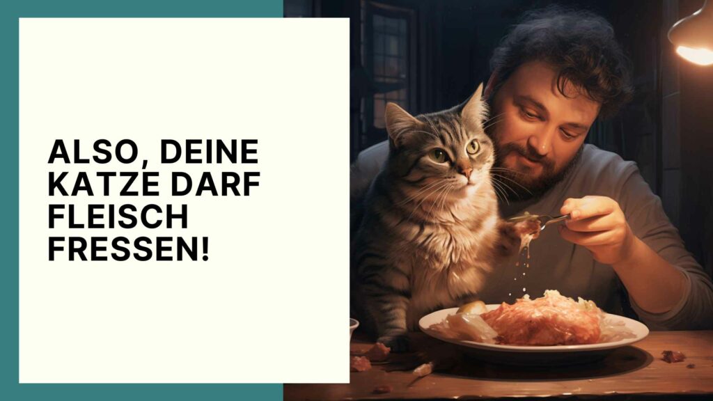 Also, die Antwort auf die Frage: dürfen Katzen rohes Fleisch essen lautet ganz klar Ja!