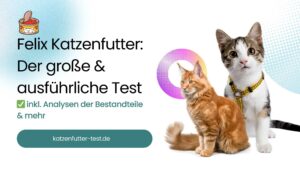 Felix Katzenfutter Test: Unser großer Testbericht zu dem Felix Nassfutter!