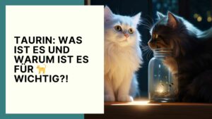 Darum ist Taurin für Katzen so wichtig!