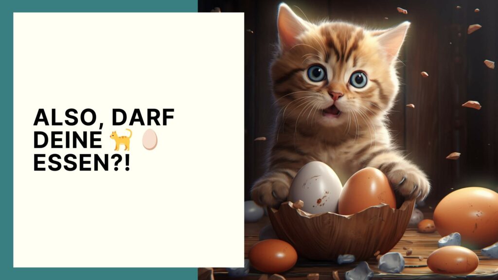 Dürfen Katzen Eier essen? Das müssen Sie über die Verträglichkeit wissen!