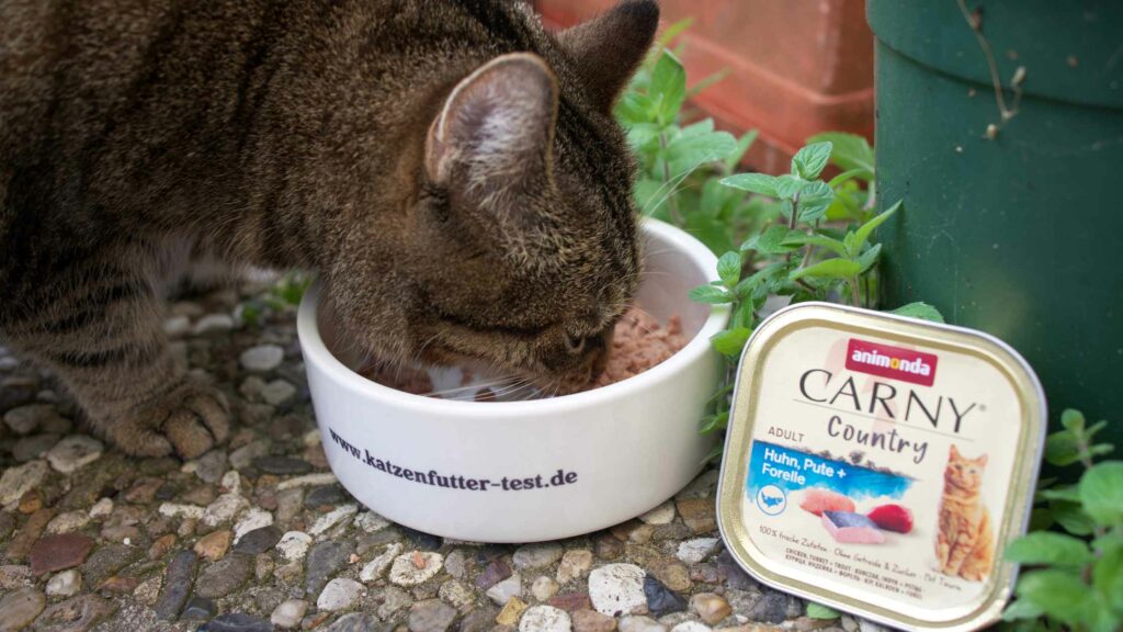 Unsere Katzen lieben und essen das Nassfutter von Animonda sehr gerne.